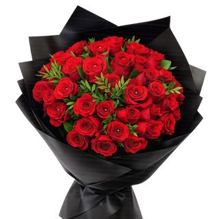 Seductive Red Rose