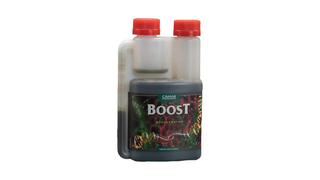 CANNABOOST Accelerator 125 მლ