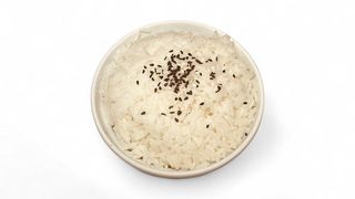 Rice 米饭