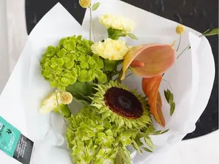 Modern Garden