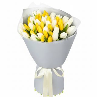 Букет"51 білий та жовтий тюльпан"
