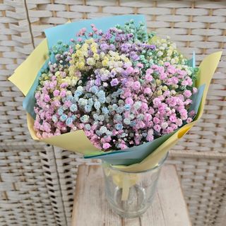 Bukiet z kolorowej gipsówki