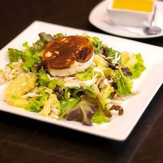 Base De Hojas Variadas Contrastes