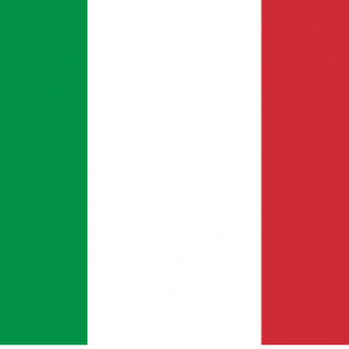 Milanesa de Pollo con Salsa de setas y Trufa