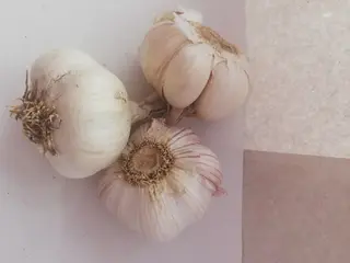 Češnjak 1kg
