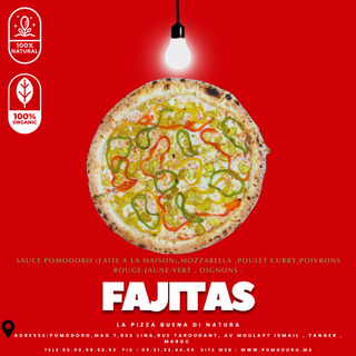  Poulet   Fajitas SMALL   
