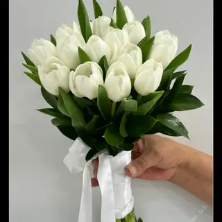 White tulips