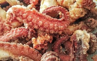 Polpo fritto