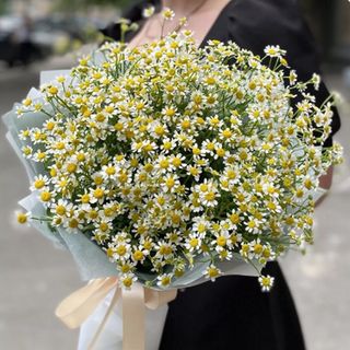 15 crengute de romanita