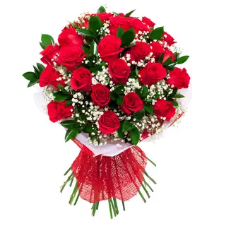 Docena Rosas Rojas