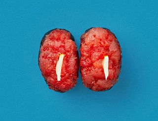 ცხარე თინუსის გუნკანი 1ც