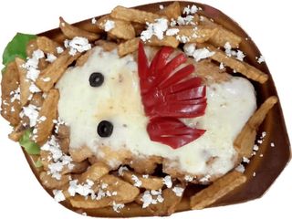 Medalionul "Domnitei"