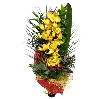 Ramo de Orquídeas Alegria