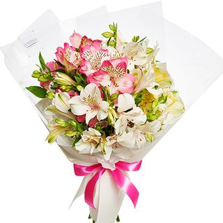 7 ніжних альстромерій