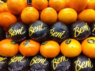 Mandarina CLEMENVILLAS