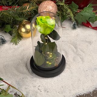 Rose eternelle LED limme vert
