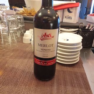 Vino Merlot 
