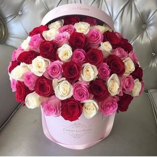 Boxe  boule melange 37