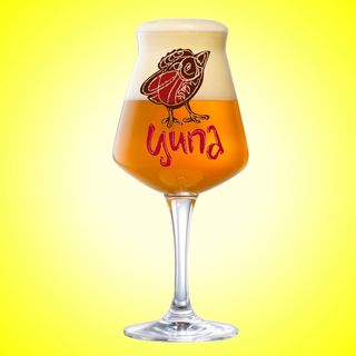 Ципа Золота, 0,5кг