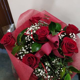 6 rosas rojas