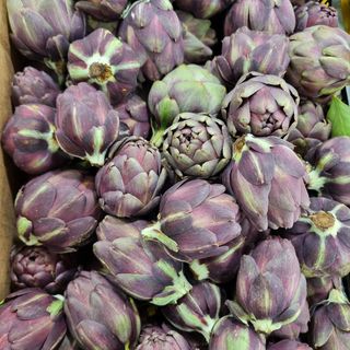 Carciofina 500 g