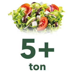 Salata 5 + Ton