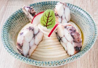 Humus cu caracatița