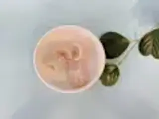 Ravioli di gamberi 4 pezzi