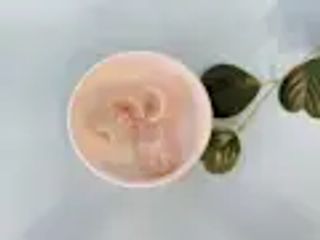 Ravioli di gamberi 4 pezzi