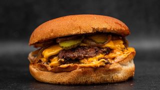 Favola Burger + pomfrit