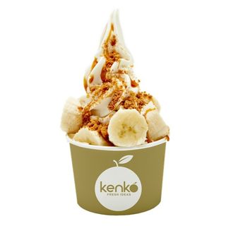 Yogur Helado Sin Azúcar (Con Stevia) (500 Ml.)