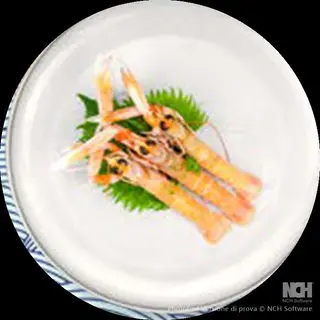 Sashimi Scampi