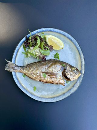 Dorado grill