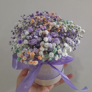 Flower box kolorowej gipsówki rozmiar L