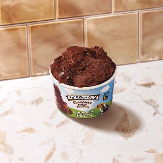 Ben&Jerry's Chocolate Fudge Brownie
