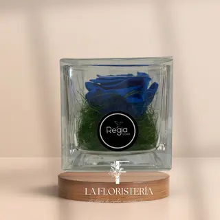 Cubo Rosa Eterna