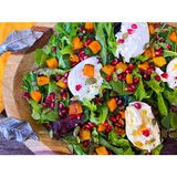 Romeo'S Harvest Farm Salad