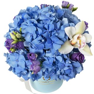 Композиція "Blue bird" 