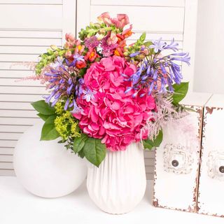 Buchetul zilei DEOSEBIT