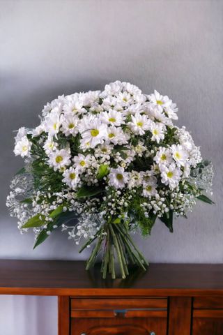 Ramo de Margaritas Blancas