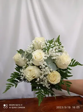 White 6
