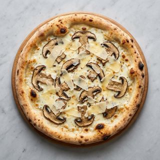 Funghi porcini