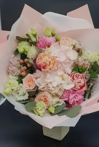 Sugar Pink