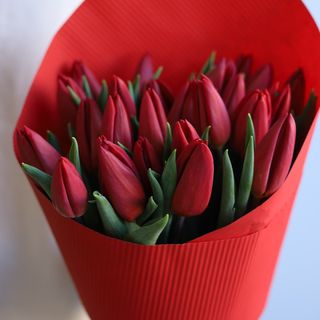 Bukiet z czerwonych tulipanów 'Wschód Miłości' (25 szt+)