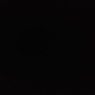 Salata chinezeasca cu urechi de lemn