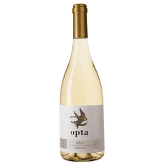 Opta Branco