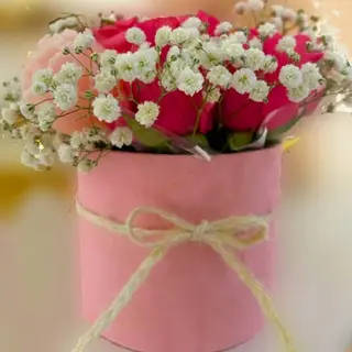 Box PINK 