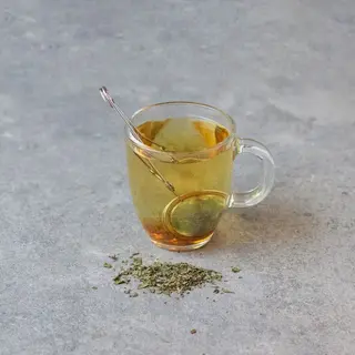 Mięta