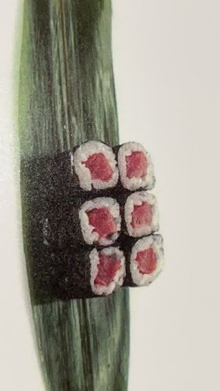 43. tonno maki - 6 pezzi