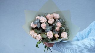 სპრეი ვარდი და ევკალიპტი 